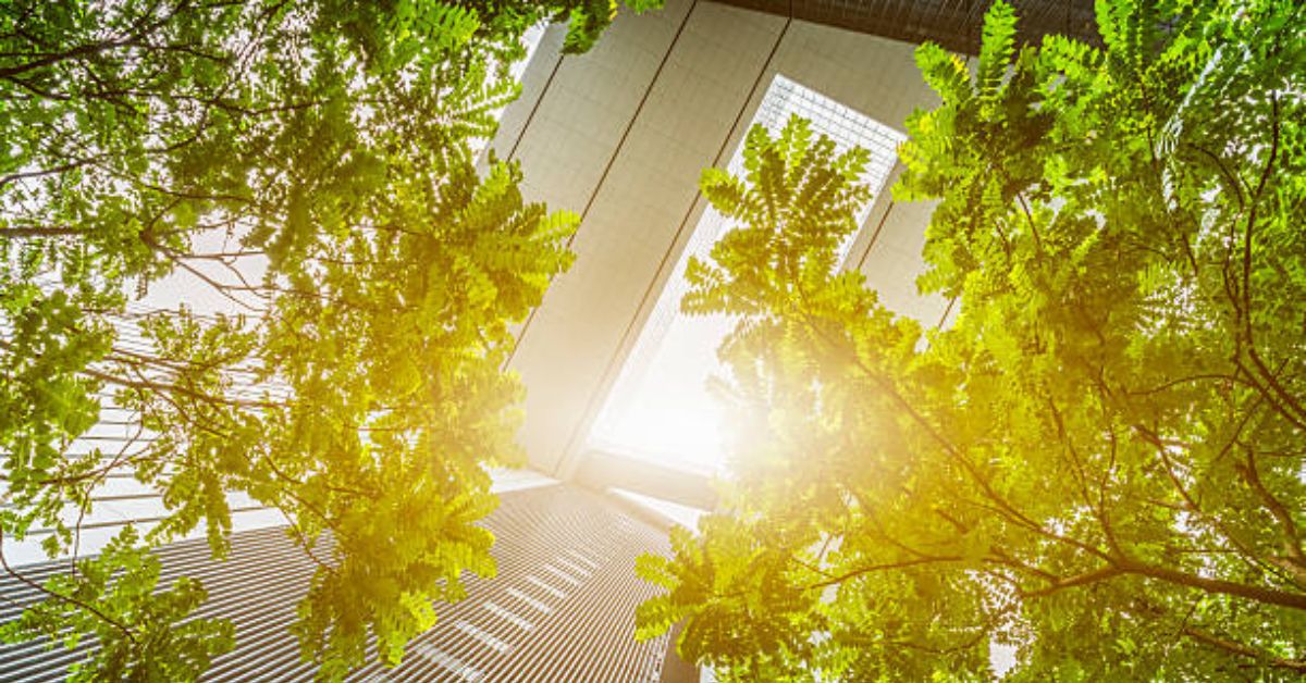 green-building