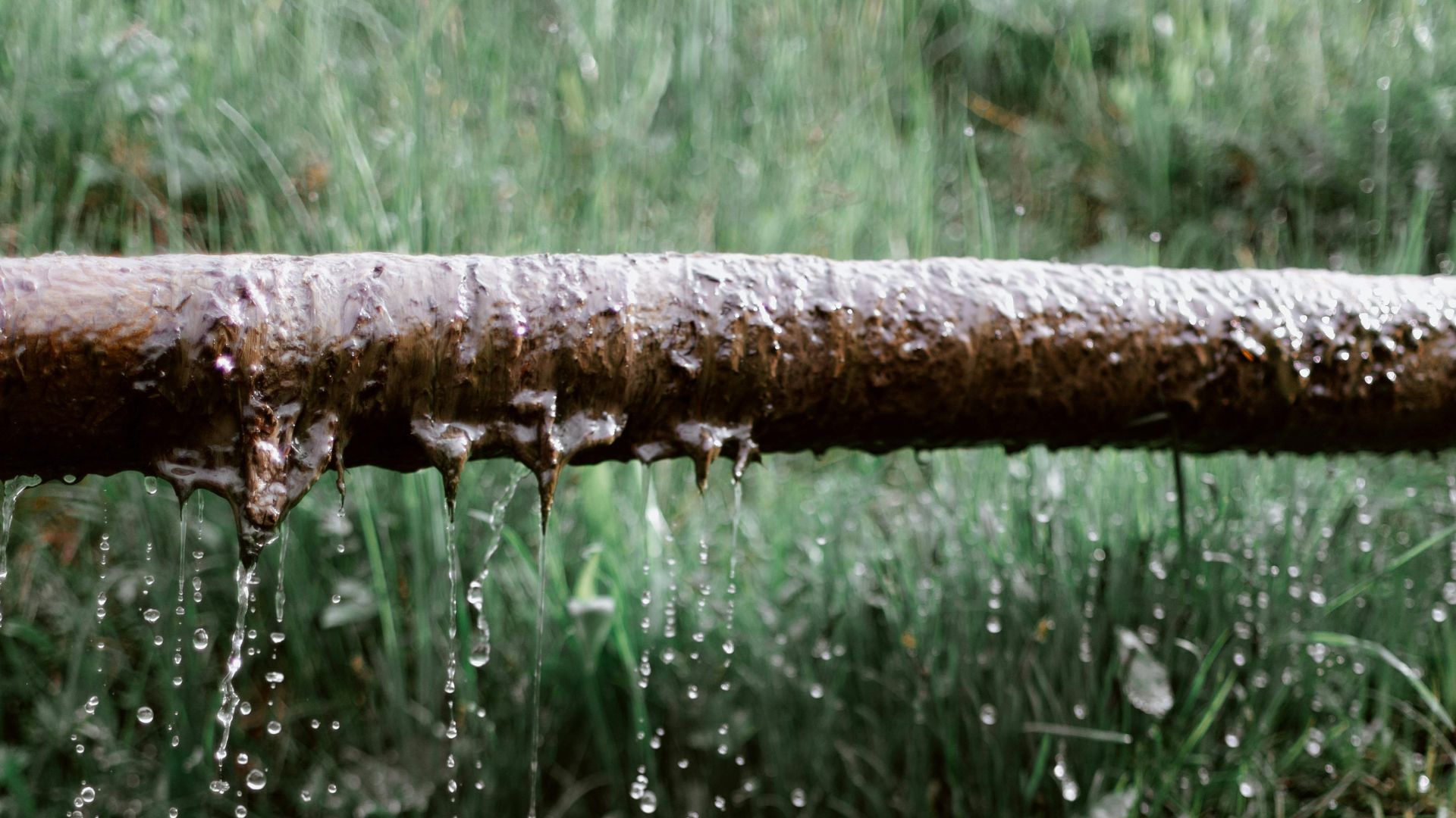 Water Audits